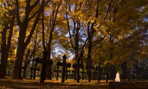 Low shot of an Irish cemetery in the Fall