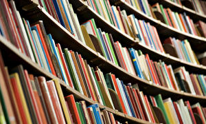 shelves of library books