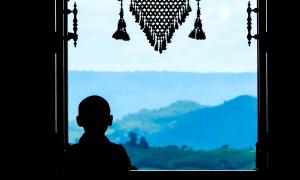 Child looking out onto the countryside, silhouetted in window
