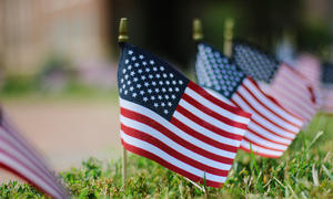 United States of America flags placed in a row.