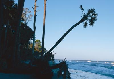 Costal Carolina coast line