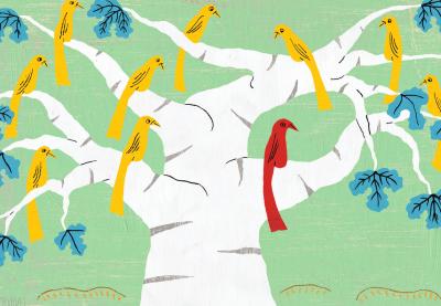 Teaching Tolerance illustration with yellow birds on a tree and only one red bird