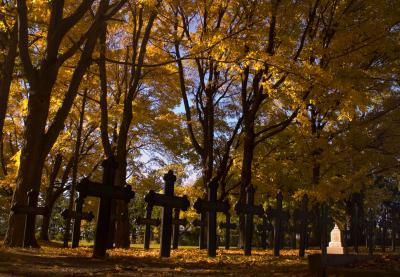 Low shot of an Irish cemetery in the Fall