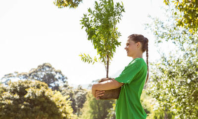 A young person plants a tree.