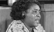 Activist Fannie Lou Hamer issuing testimony to the Credentials Committee at the 1964 Democratic Convention