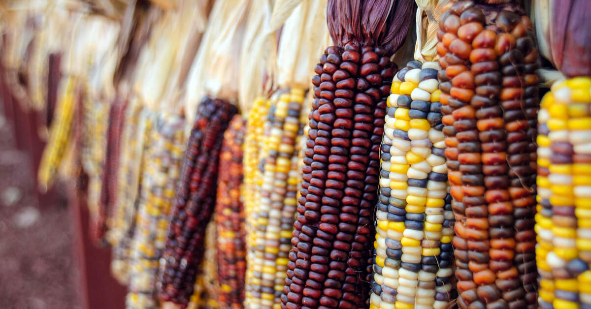 Teaching Thanksgiving in a Socially Responsible Way