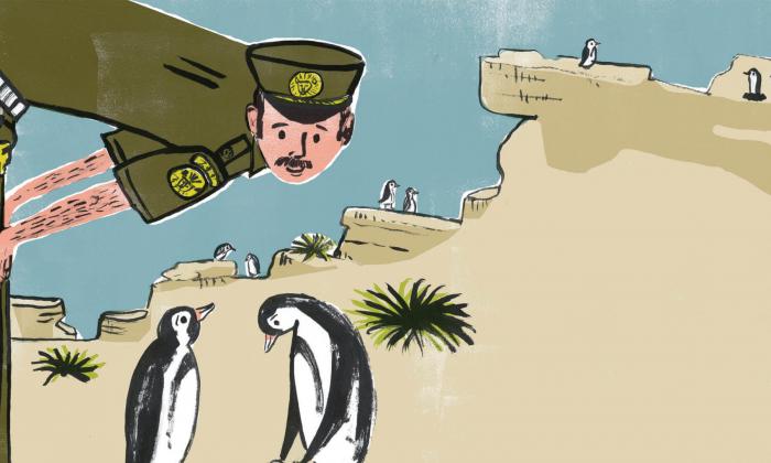 Teaching Tolerance illustration of Two male penguins taking care of their egg observed by Zookeeper