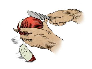 Teaching Tolerance illustration of a person cutting an apple