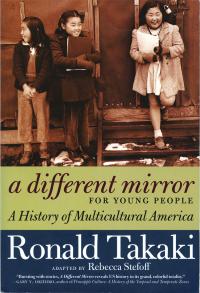 A Different Mirror book cover